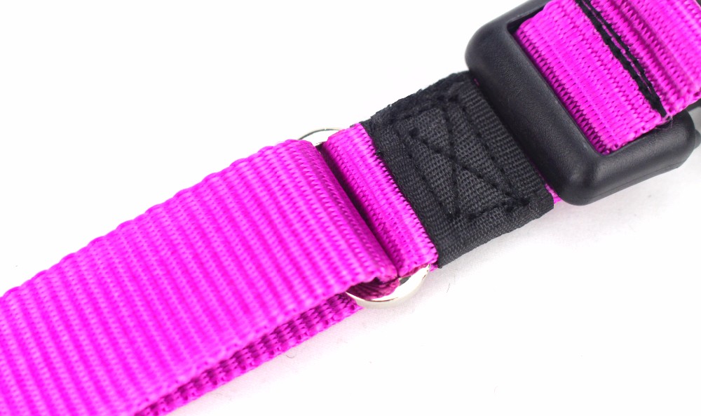 Customized Logo Fashion Style Dog Collar With Four Size Wear Resistance