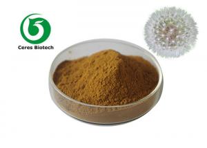 China Anti Microbial Natural Dandelion Root Extract Powder on sale