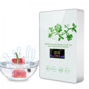 Quality HOMEFISH Commercial Air Purifier Kitchen Use Active Oxygen Fruit And Vegetable Sterilizing Machine 400mg/H wholesale