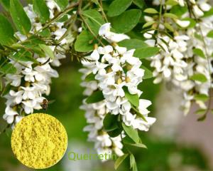 China Nature Quercetin Granular Powder 95% No Irradiation For Enhancing Immunity on sale