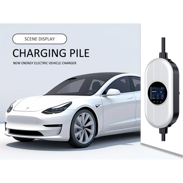Type 1 Portable EV EVSE Home Charger 50Hz 60Hz Rohs Compliant