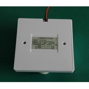 PIR Human body induction lamp Stair lamps Walkway light