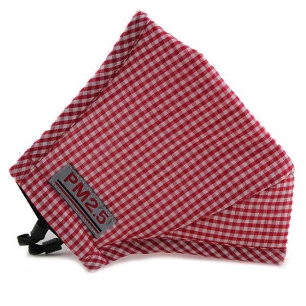 Disposable Pollution Shield Cotton Face Mask Anti Dust N99 N95 Respirator Mask