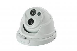 Outdoor Vandalproof Dome Camera With Sony Super Had CCD II