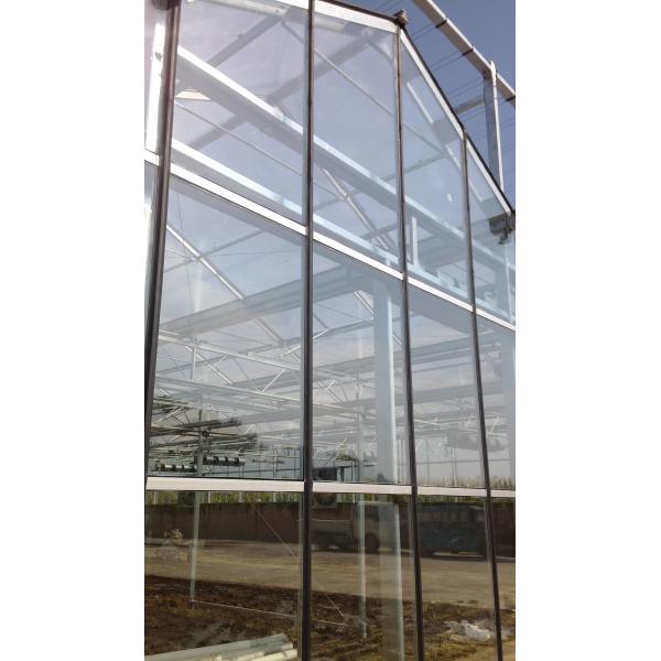 High-Efficiency Agricultural Greenhouse Production Greenhouse With Plastic Film