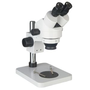 Quality Optical Stereo Dissecting Microscope , Trinocular Stereo Microscope With Camera wholesale
