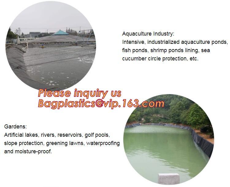 eco-friendly hdpe geomembrane liner geomembrane price,eco-friendly hdpe geomembrane liner waterproofing membranes BAGEAS