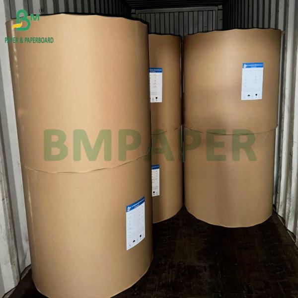 Water Resistant Single PE Coated 190gsm 210gsm Cupstock For Making Hot and Cold Paper Cups Water Resistant Single PE Coated 190gsm 210gsm Cupstock For Making Hot and Cold Paper Cups