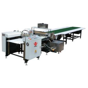 Manual Positioning Semi Automatic Case Machine
