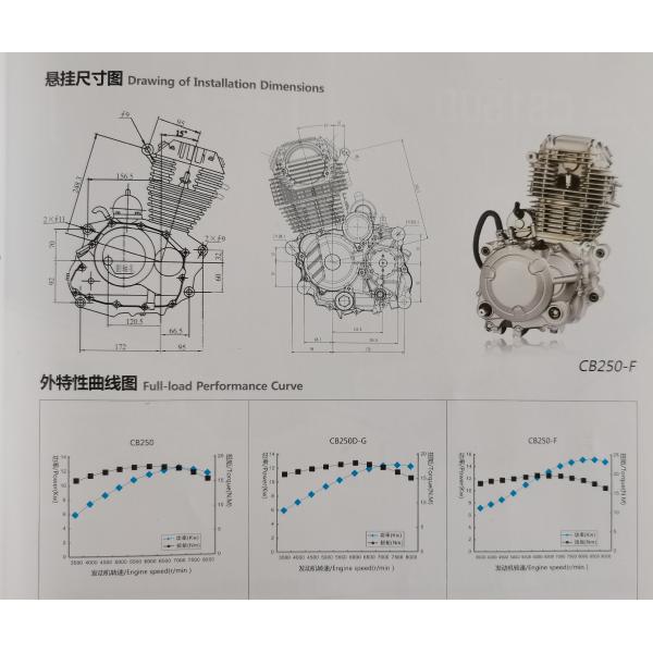 250cc Gasoline Engines Manual Clutch , Air Cooled Kick Start Engine