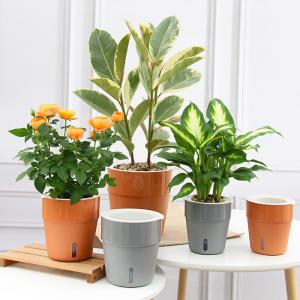11cm Self Watering Houseplant Pots
