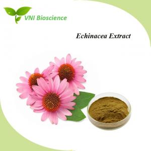China Plant Echinacea Purpurea Extract Powder Natural Herbal Extract Anti Virus on sale