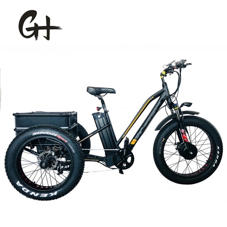 USA 24"20" Motorized Bafang 8fun 750W 48V 17a Adult 3 Wheels Cargo Ebike Electric Tricycle