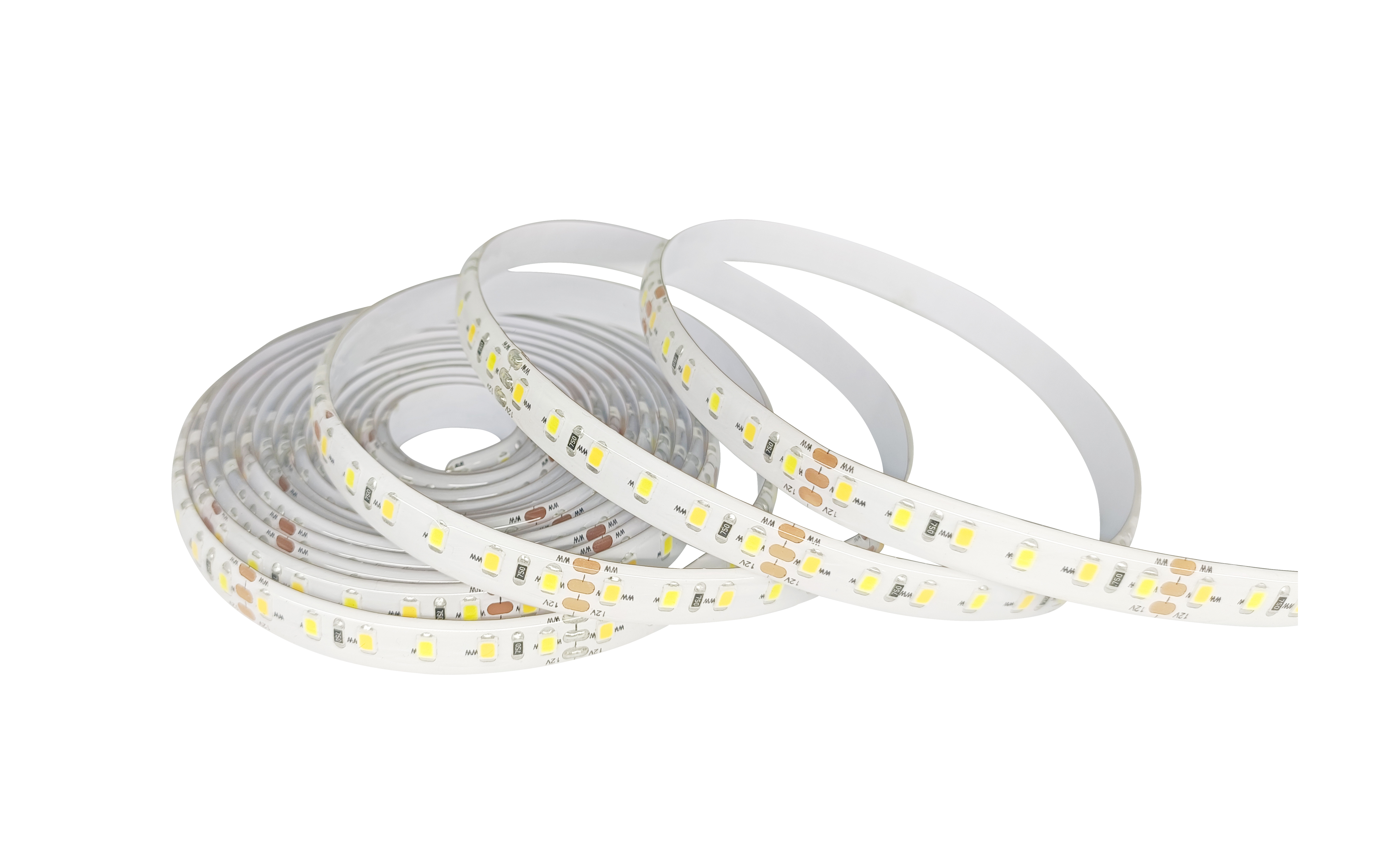 12V/24V Dimmable SMD 2835 LED Strip Light Soft Neon Lamp Waterproof IP65