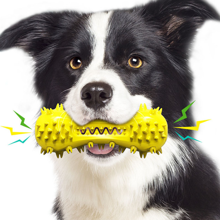 Puppy Hard Rubber Chew Bone Toys For Aggressive Chewers