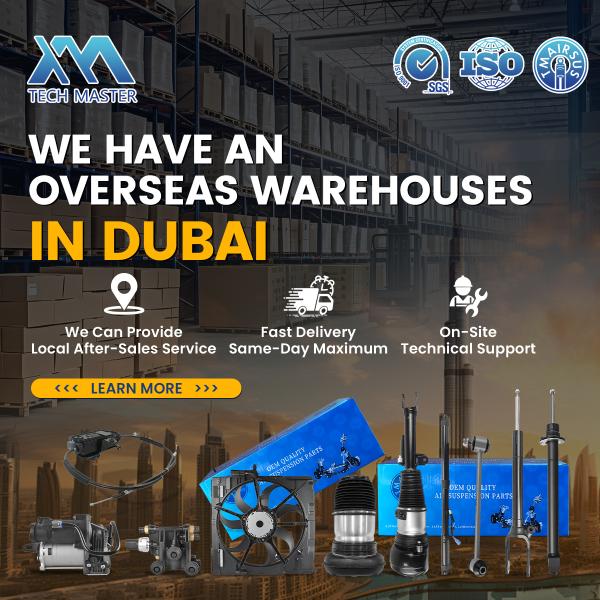 Mounting details for air suspension shock absorber