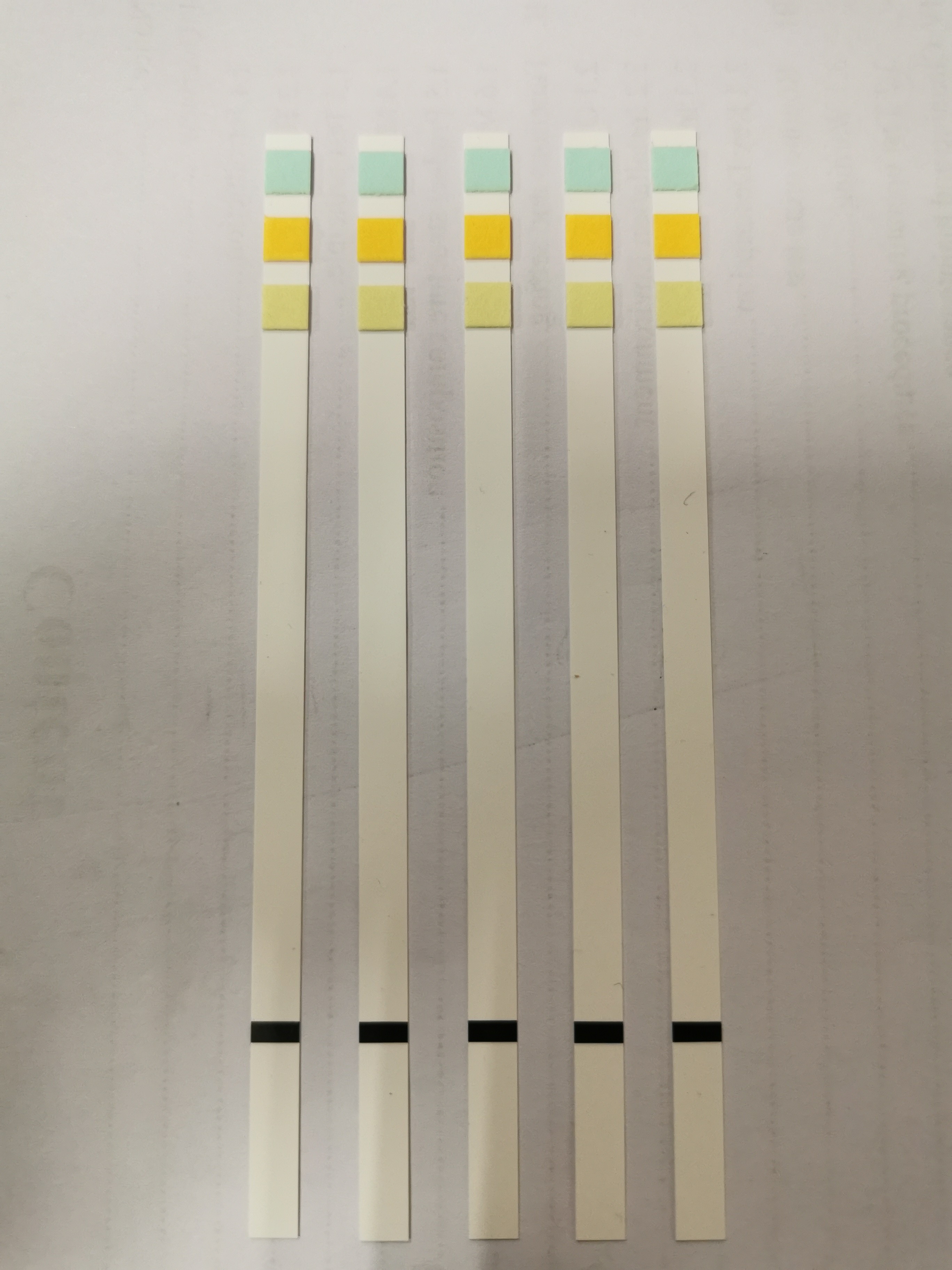 Urinalysise Test Strip Dry Chemical Method Urine-H-11 Urine-H-10 Urine-H-8