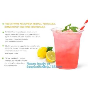 Eco Friendly Disposable Dinnerware Biodegradable Paper Drinking Straw Paper