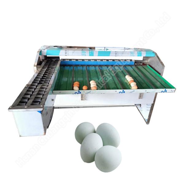 Cheap Automatic Egg Grader Machine Egg Grading Machine Sorter Egg Weight Sorter Production Line for sale