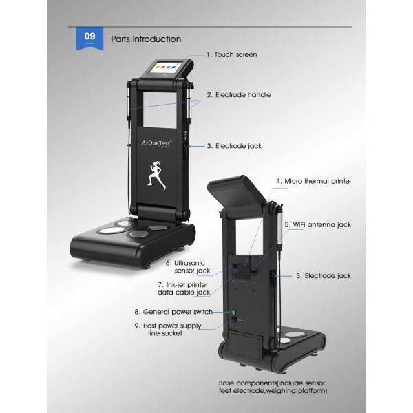 OEM ODM Human Body Fat Analyzer Machine / Body Composition Analyzer