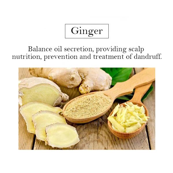 All Hair Types Anti-hair Loss Organic Hair Care Set with Ginger Shampoo and Conditioner