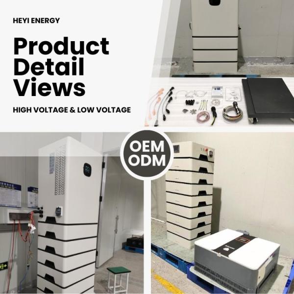 6 inch ARRIVAL (1).jpg