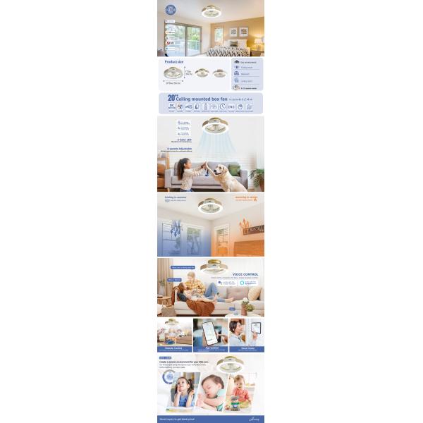 110-240V/50Hz-60Hz Input Voltage Bedroom Indoor Ceiling Fan Light with Remote Control