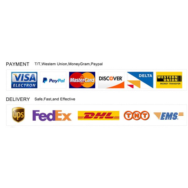 CCS2/CCS1 40kw IP65 Commercial Smart Fast Car DC EV Battery Charger for Floor-mounted Electric Car Charging Station