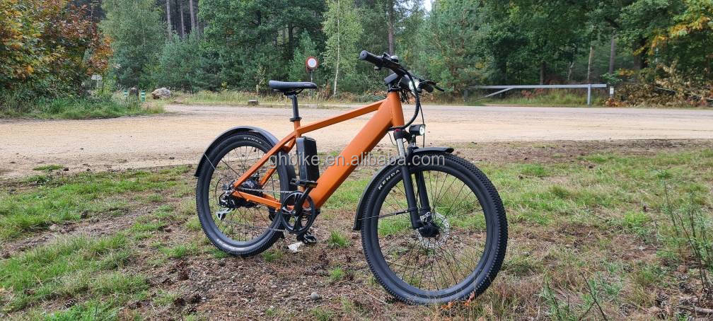 1000W 48V 14AH hidden battery hidden E-MTB lcd display electric mountain bike for your 's