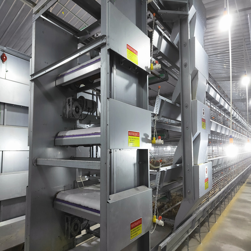 SGS Automatic Broiler Chicken Cage ISO9001 Q235A Hot Dipped Galvanized