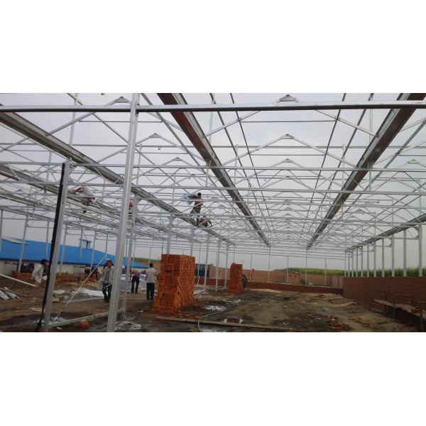 High-Efficiency Agricultural Greenhouse Production Greenhouse With Plastic Film