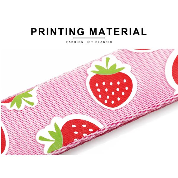 OEM training dog leash Silk Screen Pattern dog training lead