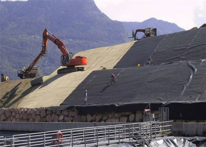 Artificial Lake Tank Hdpe Geomembrane Pond Liner Dam Lining 2.5mm Thick
