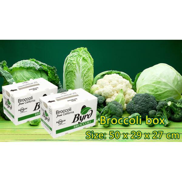 Lemon Banana Fruit Corrugated Boxes Coflute Corrugated Polypropylene Boxes