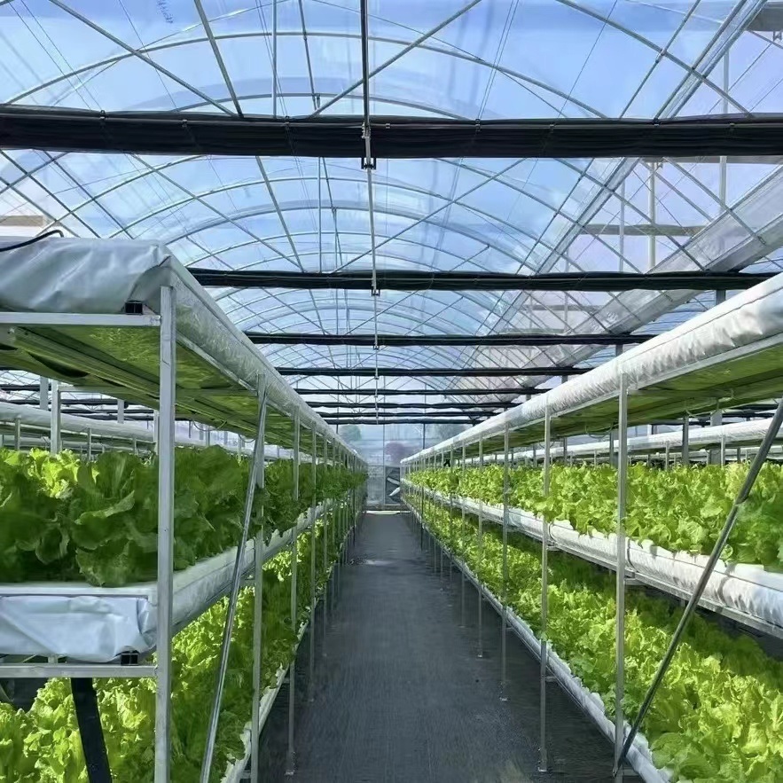 China Supplier Multi Span Film Greenhouse with Cooling/ Shading/Irrigation