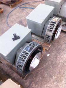 Quality USA Essex Copper Wire 6.5Kw Brushless Alternator For Perkins Generator Set wholesale