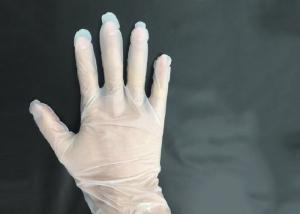 Quality Eco Friendly Disposable Medical Gloves Oil Resistance Smooth Touch Easy Wear wholesale