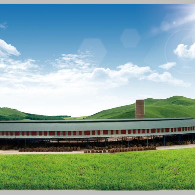 Hoffman Kiln Automatic Brick Plant Shale Brick Factory Machine 55-60-70-75-90-110-120 Extruder