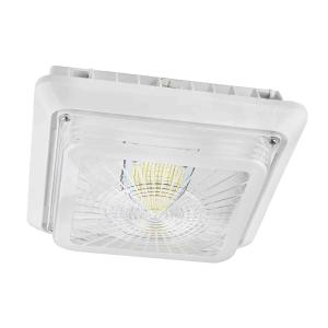 Quality Kitchen 120V 40W 5000K IP65 LED Canopy Light Fixtures wholesale