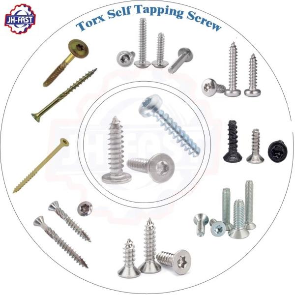 Cheap Custom Carbon Stainless Steel Self Tapping Screws M2.5 with Black Torx Flat Tail for sale