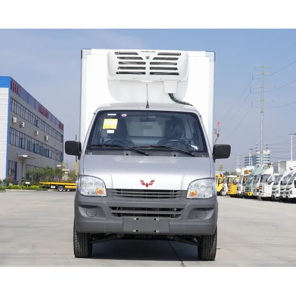 Foton Dongfeng JAC Jmc FAW HOWO 2tons 3tons 5tons 10tons 15tons 20tons Refrigerated Refrigerator Refrigeration Truck Thermo King Refrigerator Van Freezer Truck