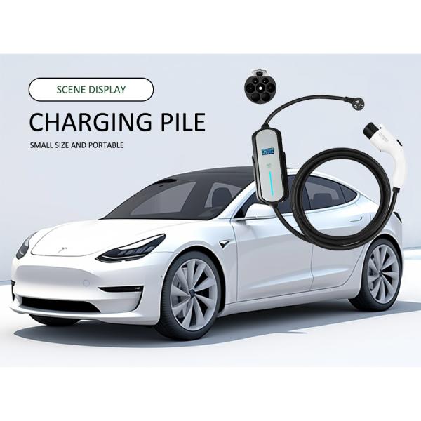 20 Amp 10 AWG EVSE Home Charger EV EVSE Type 2 Double Pole