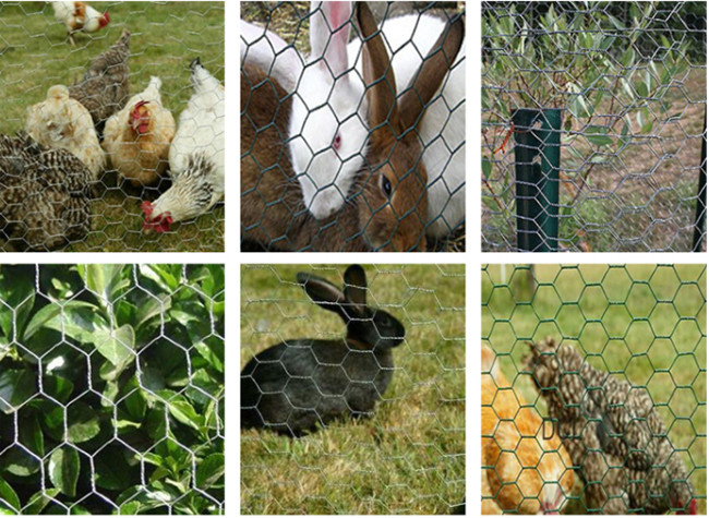 Hexagonal Hot Dip Galvanised 6ft Tall Chicken Wire Mesh For Bird Cage