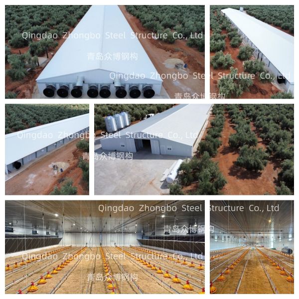 Durable Prefabricated Steel Structure Poultry House with Customizable Design and Easy Installation
