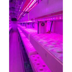 Hydroponic System Container Hydroponic Farm Plant Vertical Indoor Hydroponic