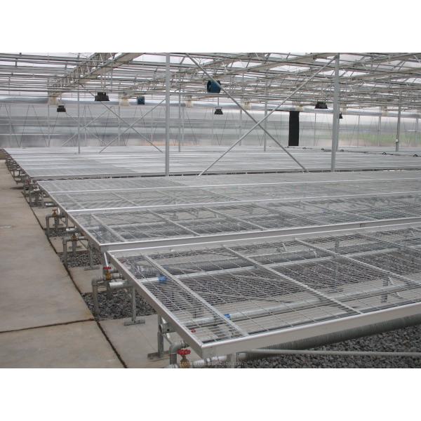 Large Film Greenhouse Farming Fully Automated Light Deprivation System For Agriculture
