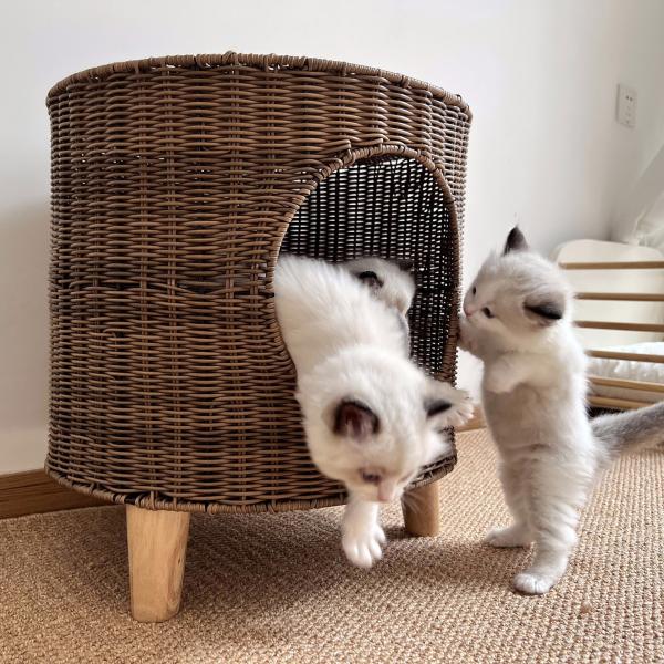 Woven Pet Dog House Extra Large Cat Cave House Tripod Breathable