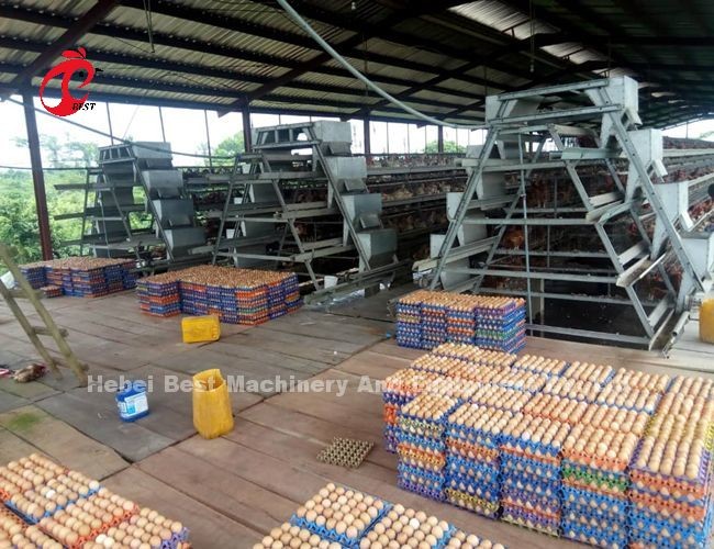 Easy to Install Automatic Poultry Layer Battery Cage System with Nipple Drinker Iris