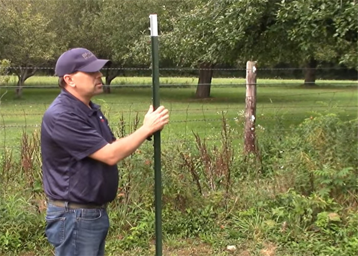 Green Painted Farm Fencing 1.33 Lb / Ft Studded T Post