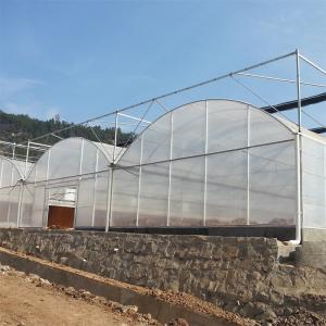 Quality Film Covered Durable Agricultural Tunnel Greenhouse with Optional Cooling System wholesale